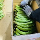 염치농장 이미지