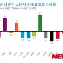 (주)더시트러스
