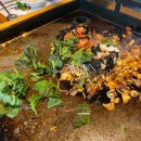 초원랜드 이미지