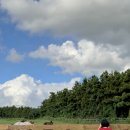 미영목장2 이미지