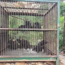 곰두마리농장 이미지