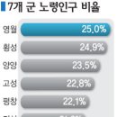 65세 노년층 15.5% 고령사회 진입했다 /강원도 2010 인구주택총조사 이미지