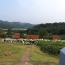 성당길55 이미지