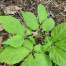 모실농장 이미지