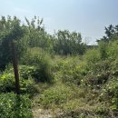 홍남농장 이미지