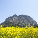 산방산주차장