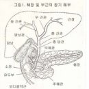 제 404호 1984년 6월 1일 발행 이미지