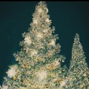 씨채널분평점 이미지