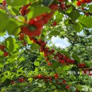 손주들농장 이미지