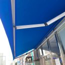 개밥주는고양이 이미지