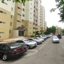 코아청과 이미지