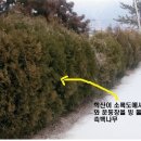 회천동초등학교 이미지