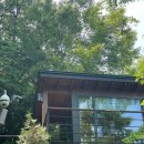 바람꽃뜰 이미지