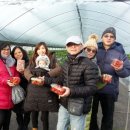 주초농장 이미지