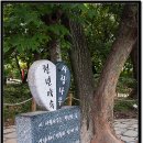 연리목