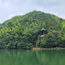 경호펜션 | 중국 상하이 근교 여행 7편, 장쑤성 이싱 죽해 – 끝없이 펼쳐진 대나무 숲에서의 힐링 트레킹