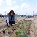 주혜농장 이미지