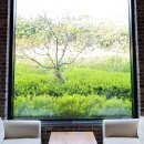 퍼시먼커피(persimmon coffee) | [창원대형카페] 동읍 베이커리 카페 퍼시먼 커피 다녀왔어요