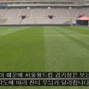잔디색