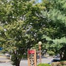 도천진짜순대창녕점 이미지