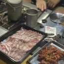 안성내츄럴리조트 | [What&#39;s in my Blog] the 4th week of Nov 안성 내츄럴리조트 애견 캠핑장, 2025 메가주 일산 방문기