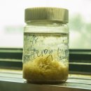 진례맑은물순환센터(구.진례하수처리장) | 진례맑은물순환센터를 찾아서