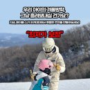 스키매니저