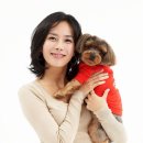 오마이펫 이미지