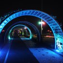 불갑저수지 수변공원 이미지