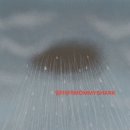 미주 여성사우나 이미지