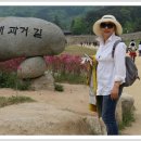 대동중학교 이미지