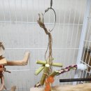 브리더스 퀄리티 이미지