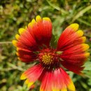 몸이 기억한다. 이미지