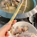 전원가든농원 이미지