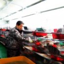 권영인농장 이미지