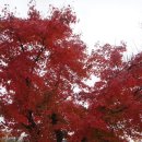 여수동초등학교 이미지