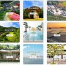 치성농장 이미지