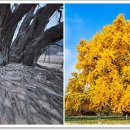 원주굽이길 7코스 태조왕건길 이미지