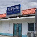 정동진역 이미지