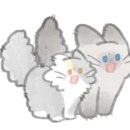 인천고양이분양 도레미캣 이미지