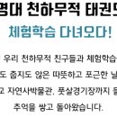 천하무적태권도장 이미지