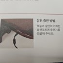 삼화메디칼