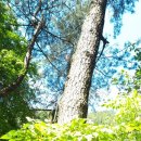 봉암어린이집 이미지