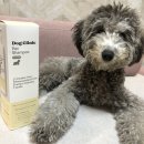 멍냥의민족 이미지