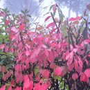 지리산 순심이네 캠핑 민박 이미지