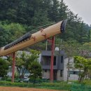 첼로와 거문고 이미지