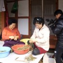 약이 되는 산야초 Daum카페