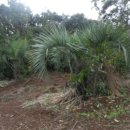 상효동-3 이미지