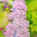 만수노인복지원 이미지