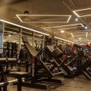 문라이트짐 이미지